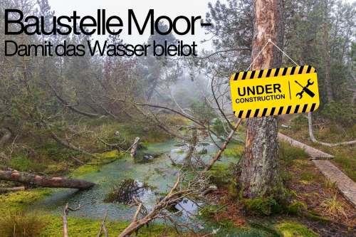 Plakat "Baustelle Moor"